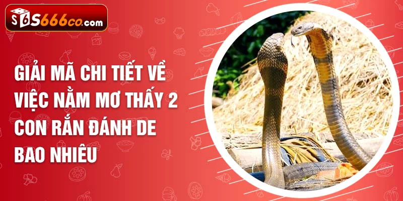 Giải mã chi tiết về việc nằm mơ thấy 2 con rắn đánh de bao nhiêu