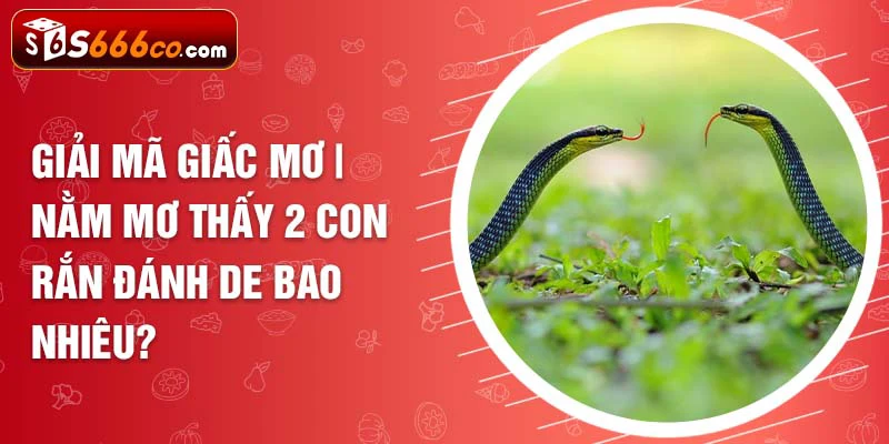 nằm mơ thấy 2 con rắn đánh de bao nhiêu