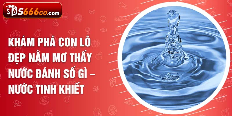 Khám phá con lô đẹp nằm mơ thấy nước đánh số gì - Nước tinh khiết