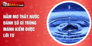 nằm mơ thấy nước đánh số gì