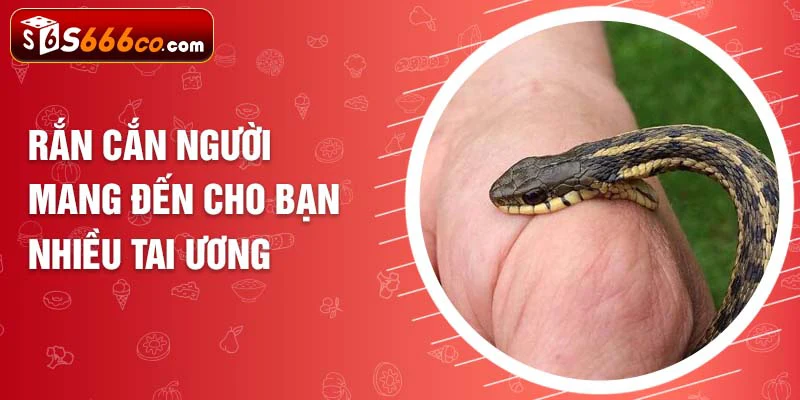 Rắn cắn người mang đến cho bạn nhiều tai ương